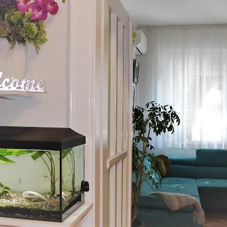 Prostran , Renoviran Apartman Lota شقة *